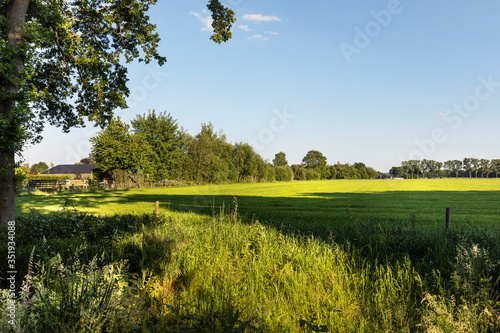 A dutch landscape on a sunny day in Eersel, The Netherlands. Trees, greenery and grass growing during spring. Blue sky, idyllic scenery photo