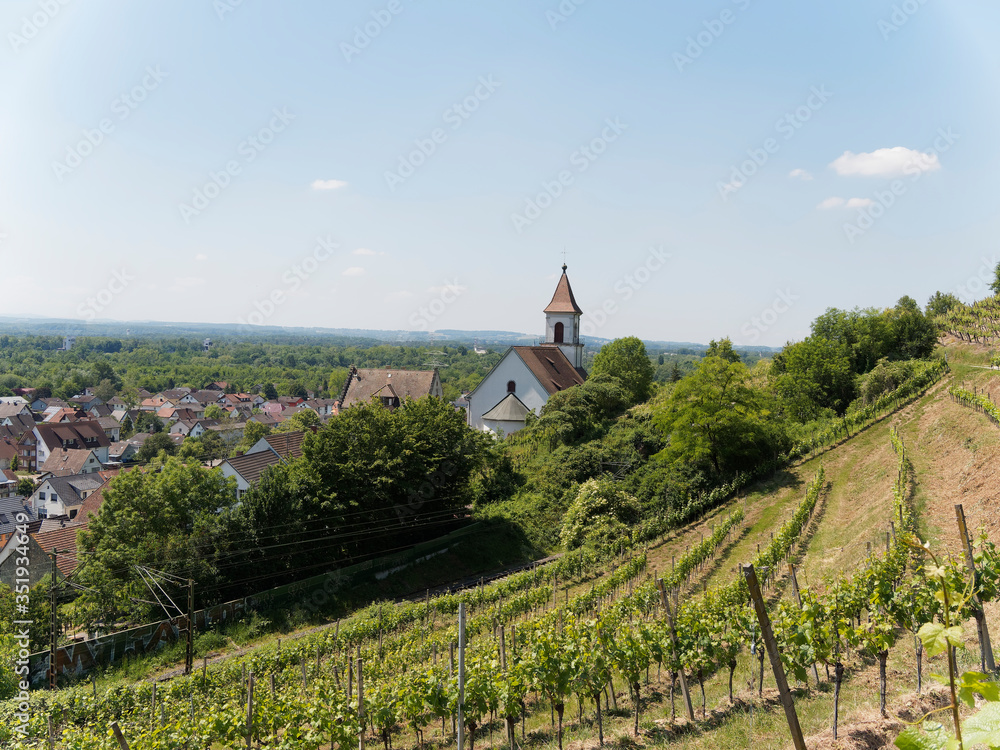 Blick auf Istein und seine Weinberge mit historische Fachwerkhäuser, Pfarrkirche St. Michael