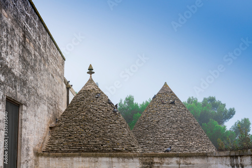 conic stone roof tops of traditional houses called trulli. Alberobello, Italy photo