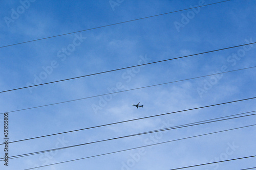 birds on wires