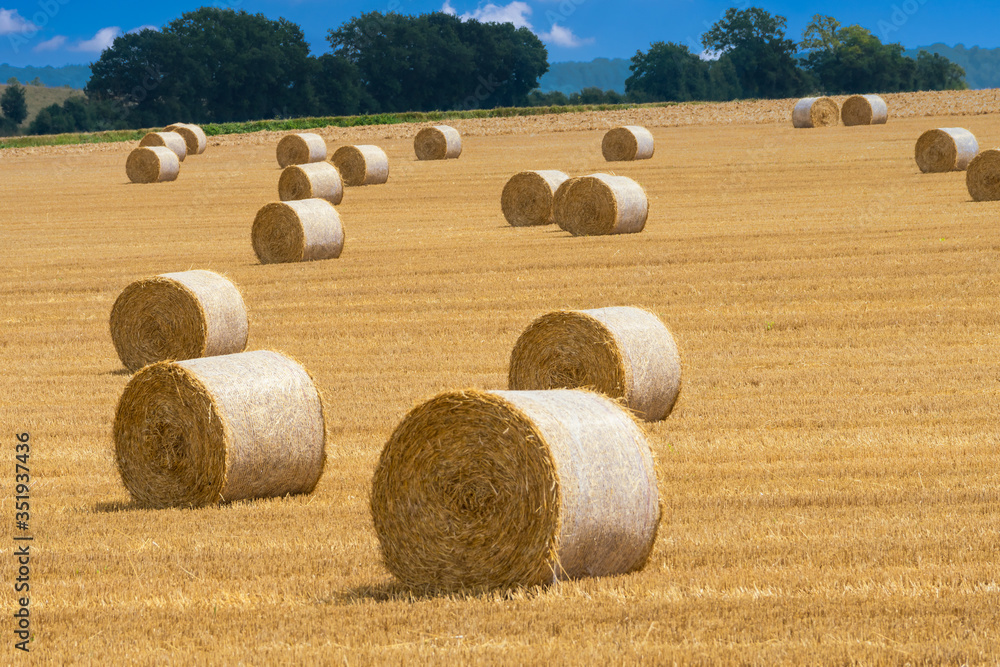 Strohballen auf abgeerntetem Getreidefeld