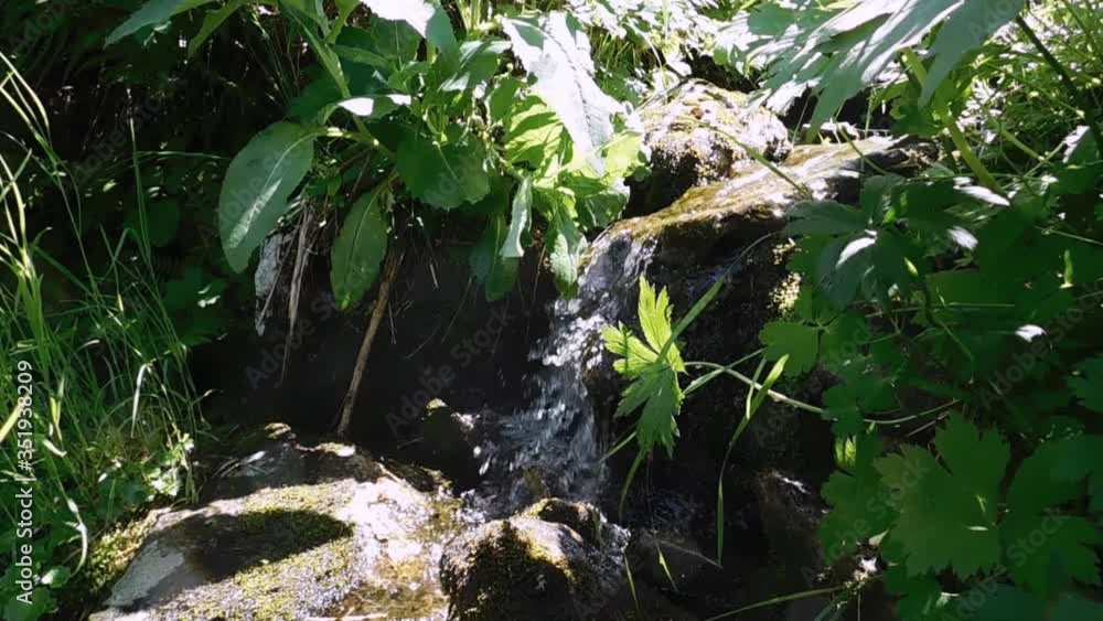 A small stream flows down from the stone, beautifully shimmering in the sun. Green grass grows around. A small stream flows down from the stone, beautifully shimmering in the sun. Green grass grows around.