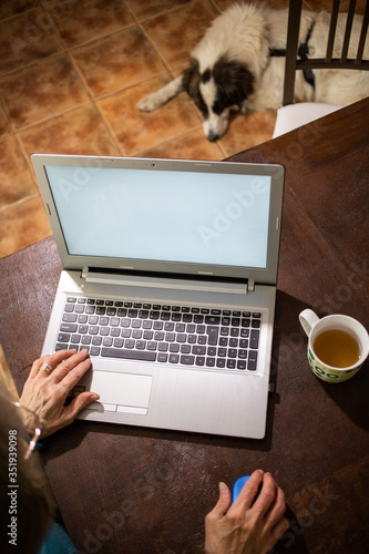 telderly woman using laptop dog sleeping photo