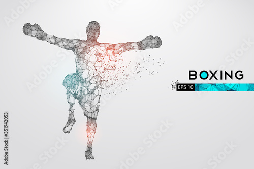 Abstract silhouette of a wireframe boxer fighter with boxing gloves on the white background. Boxer is winner. Convenient organization of eps file. Vector illustration. Thanks for watching