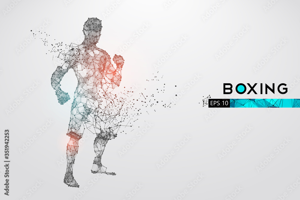 Abstract silhouette of a wireframe boxer fighter with boxing gloves on the white background. Boxer is winner. Convenient organization of eps file. Vector illustration. Thanks for watching Abstract silhouette of a wireframe boxer fighter with boxing gloves on the white background. Boxer is winner. Convenient organization of eps file. Vector illustration. Thanks for watching