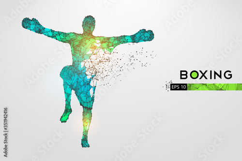 Abstract silhouette of a wireframe boxer fighter with boxing gloves on the white background. Boxer is winner. Convenient organization of eps file. Vector illustration. Thanks for watching