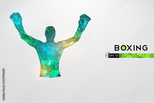 Abstract silhouette of a wireframe boxer fighter with boxing gloves on the white background. Boxer is winner. Convenient organization of eps file. Vector illustration. Thanks for watching