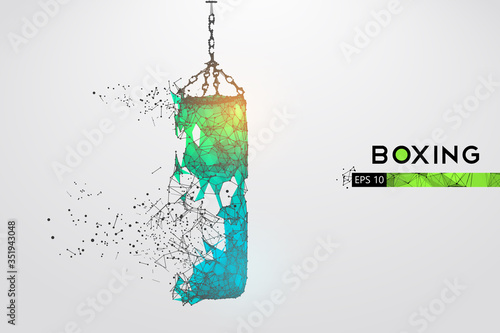 Abstract silhouette of a wireframe punching bag on the white background. Boxing sports equipment. Boxer is winner. Convenient organization of eps file. Vector illustration. Thanks for watching