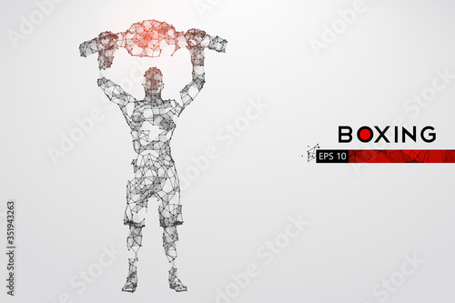 Abstract silhouette of a wireframe boxer fighter with boxing gloves on the white background. Boxer is winner. Convenient organization of eps file. Vector illustration. Thanks for watching