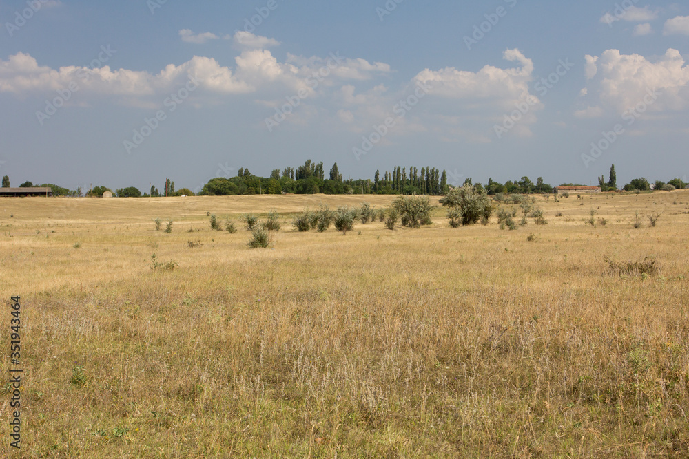 Lazy day in the sunlit steppe. Dry grass field in summer. Crimea. Lazy day in the sunlit steppe. Dry grass field in summer. Crimea.