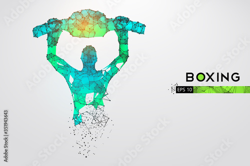 Abstract silhouette of a wireframe boxer fighter with boxing gloves on the white background. Boxer is winner. Convenient organization of eps file. Vector illustration. Thanks for watching
