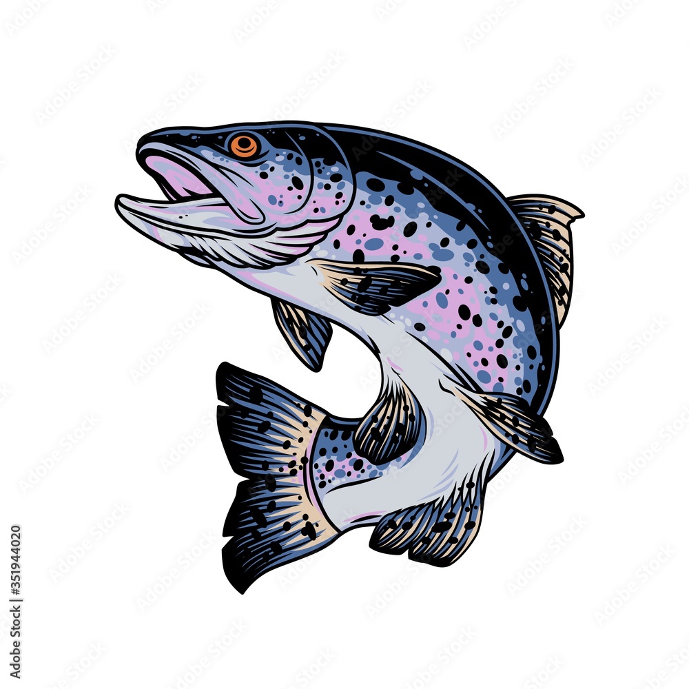 Fototapeta premium Rainbow trout vintage concept