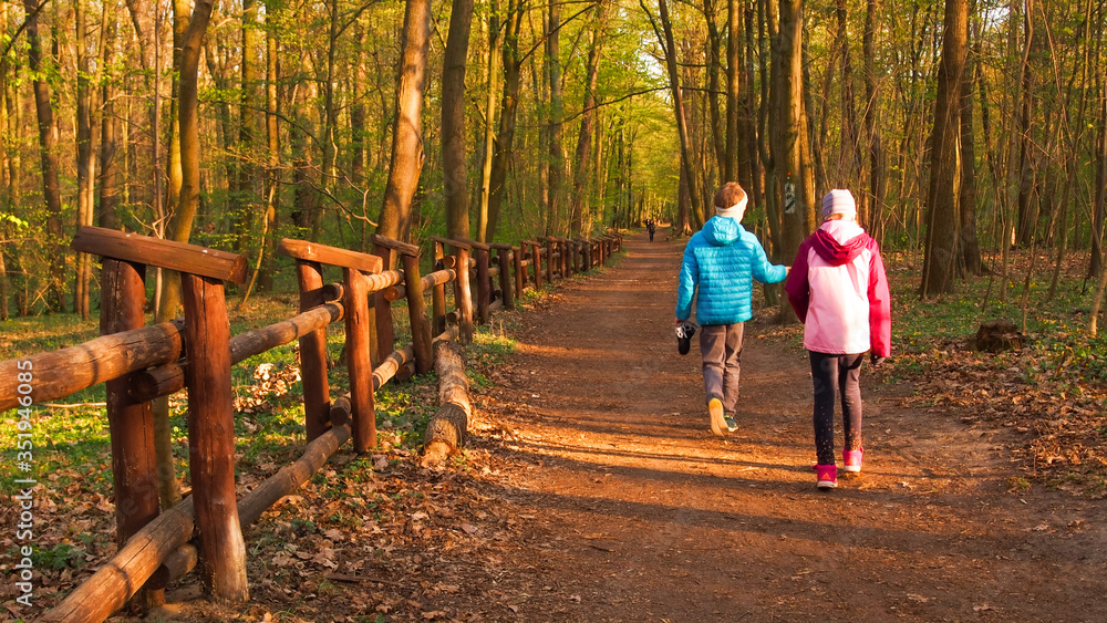 Bielański forest
