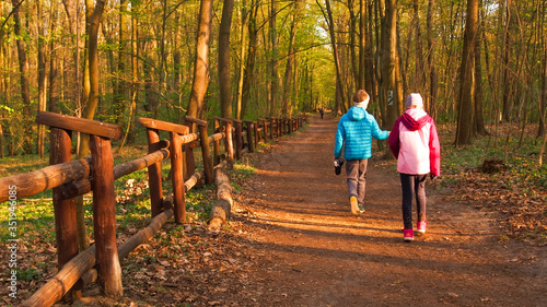 Obraz na płótnie Bielański forest w salonie