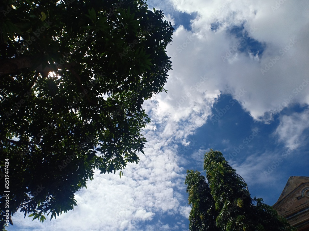 Obraz premium clouds in the sky