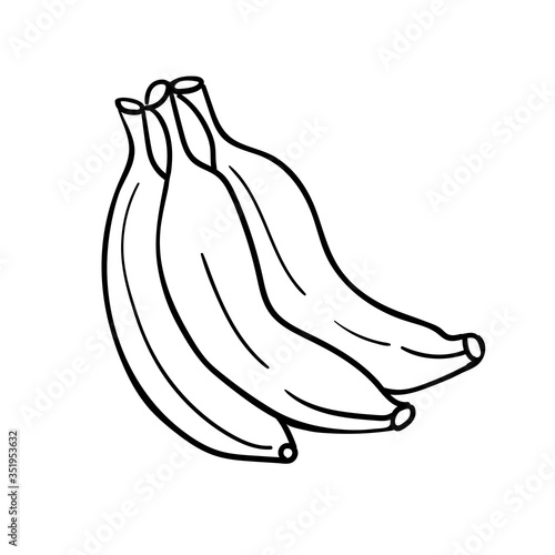 Bunch of bananas on white background. Vector illustration.