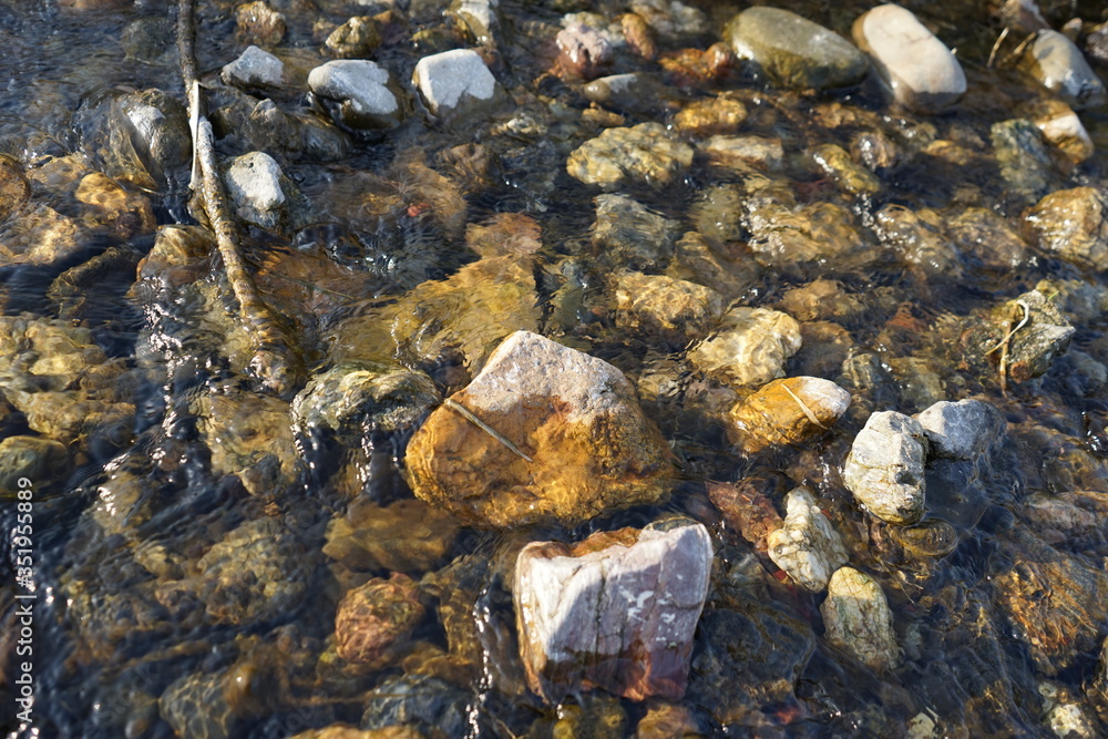 Fototapeta premium 小川 