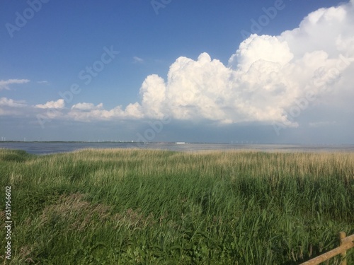 fjord schilf woleknhimmel