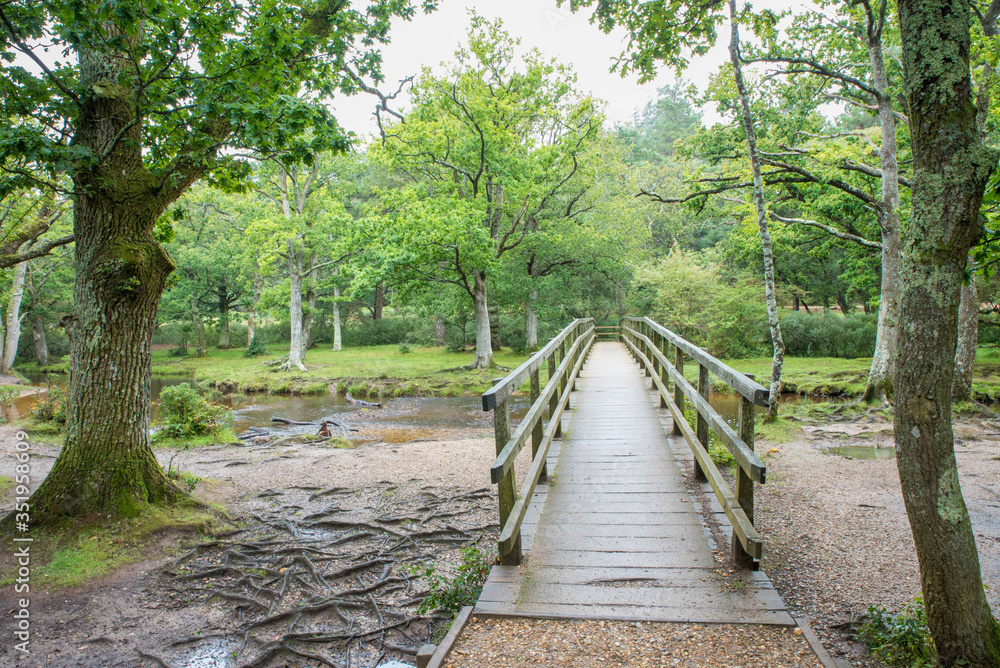A small footbridge called Puttles bridge crosses Ober water in the New Forest