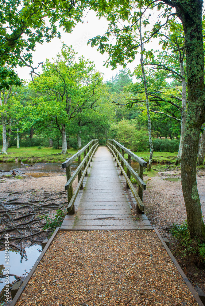 Puttles Foot Bridge Puttles Foot Bridge