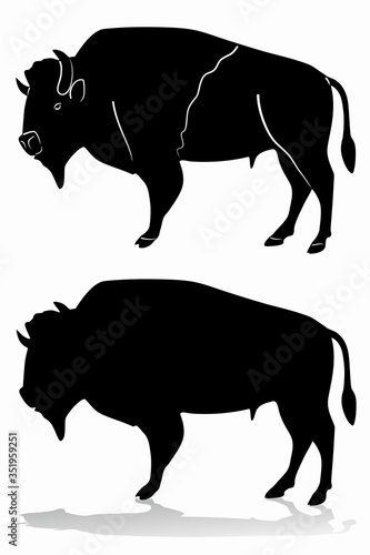 isolated silhouette of buffalo , vector drawing