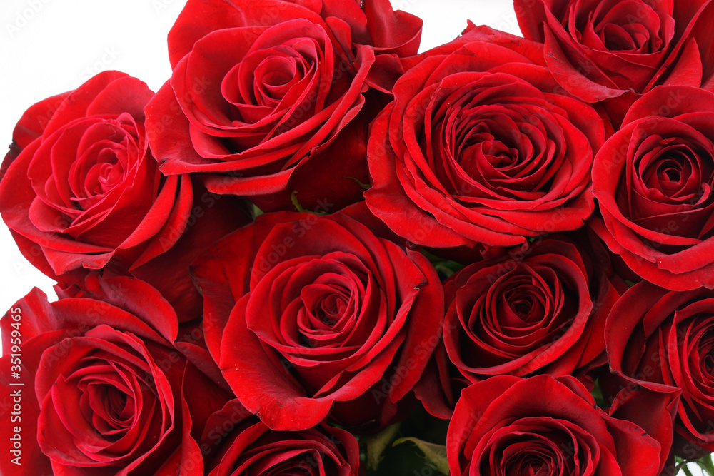 fresh red roses in a bouquet as background fresh red roses in a bouquet as background