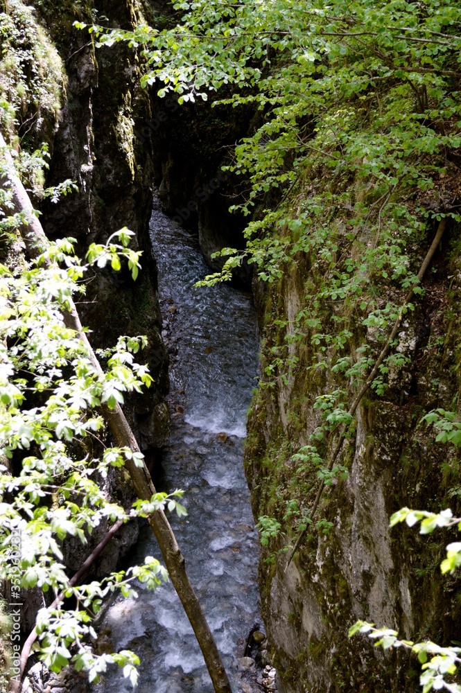Obraz premium Remote river in the forest