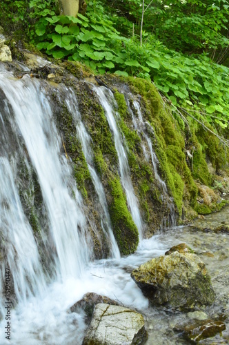 Fototapeta Naklejka Na Ścianę i Meble -  green waterfall in the woods