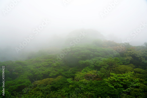 Misty jungle forest in deep Costa Rica