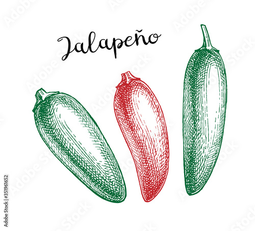 Ink sketch of jalapeno