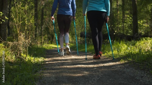 Women exercises in nordic walking in the forest with trekking poles by the dirt road. Rear view. Active and healthy lifestyle concept