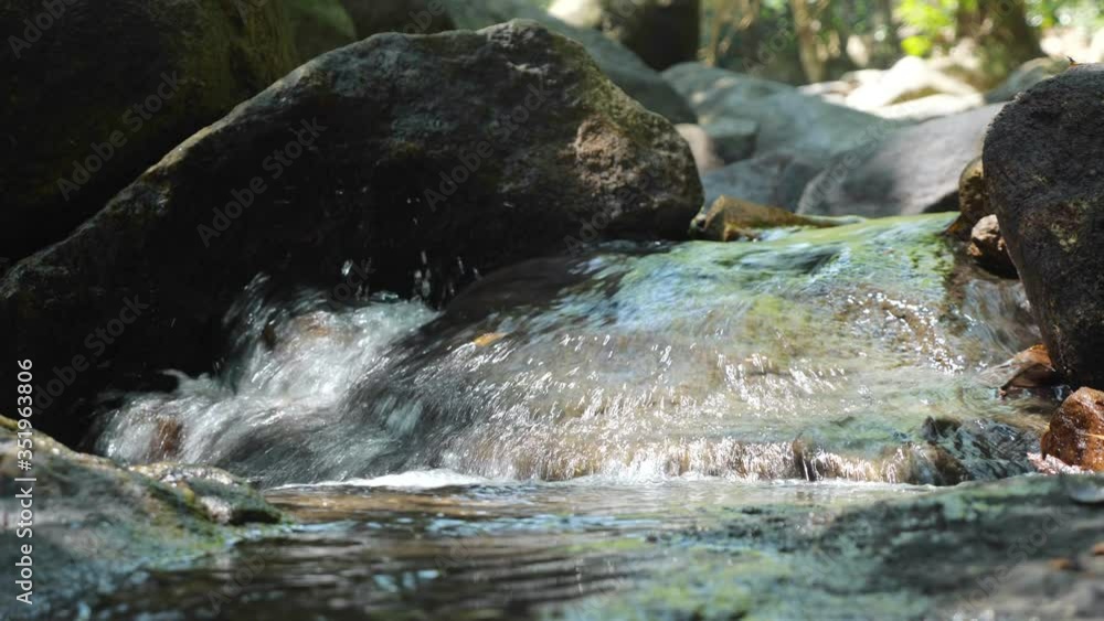 morning sunlight falls on tropical forest creek with crystal clear water flowing past dark grey stones in heavy shadow extreme close view morning sunlight falls on tropical forest creek with crystal clear water flowing past dark grey stones in heavy shadow extreme close view