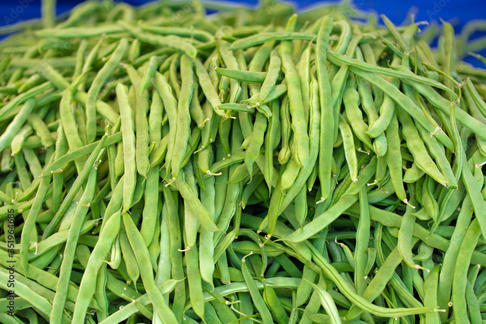 fresh and organic beans green vegetables.
fresh and organic beans green vegetables.