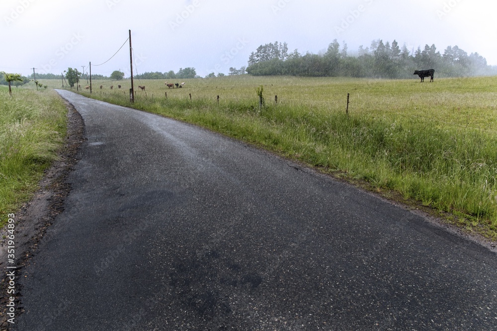 Rainy day. Country road in the Czech Republic. Wet and fog on the road. Danger of skidding.