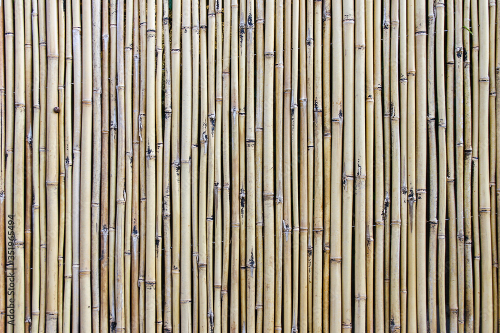 texture of bamboo texture of bamboo