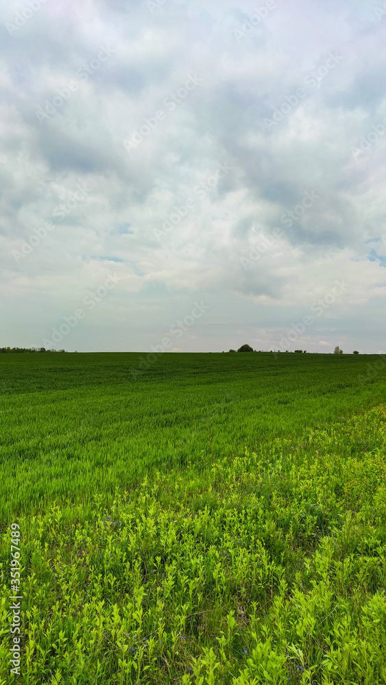 Agriculture field landscape in the spring season Agriculture field landscape in the spring season