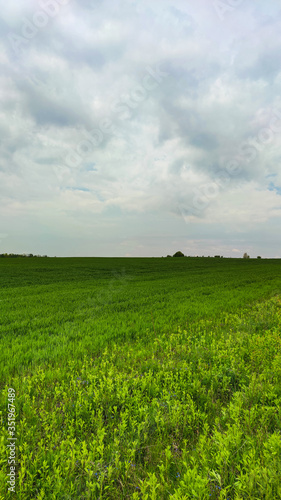 Agriculture field landscape in the spring season