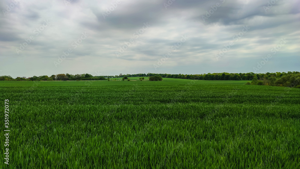 Agriculture field landscape in the spring season