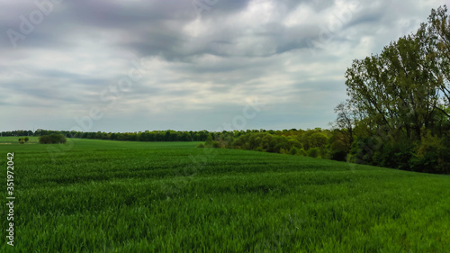 Agriculture field landscape in the spring season © zyoma_1986