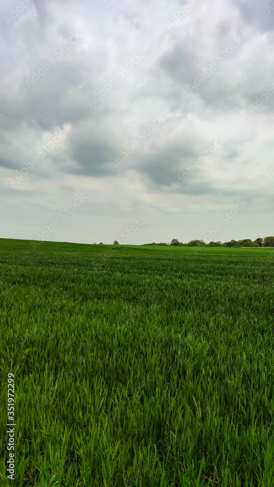 Agriculture field landscape in the spring season Agriculture field landscape in the spring season