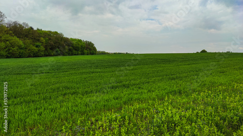 Slika na platnu Agriculture field landscape in the spring season