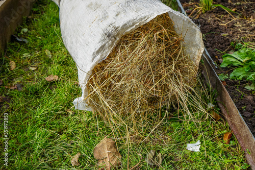 hay rake in the garden