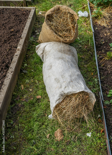 hay rake in the garden