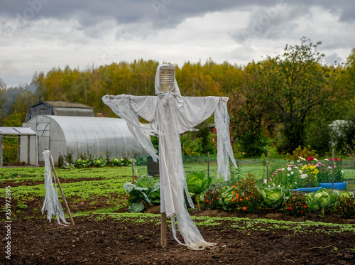 Scarecrow