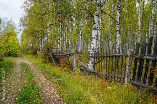 wooden fence in the park