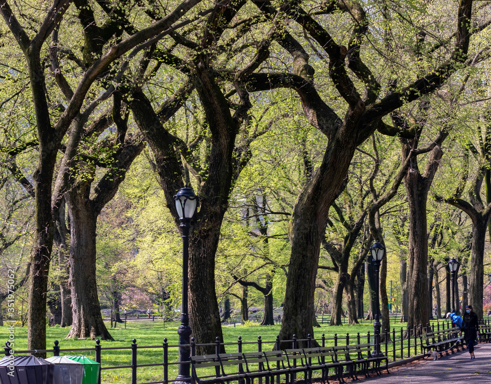 The Mall-Central Park, Manhattan, New York City in Spring The Mall-Central Park, Manhattan, New York City in Spring