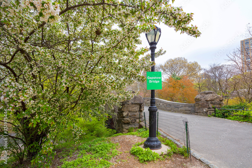 Central Park, Manhattan, New York City in spring
