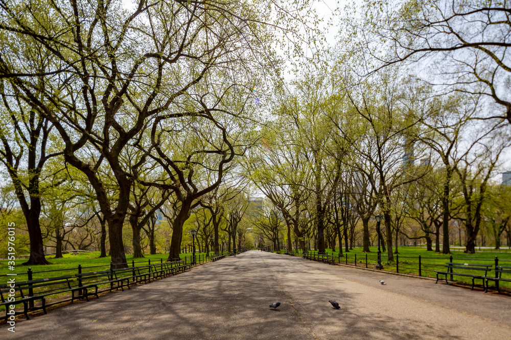 Central Park, Manhattan, New York City in spring