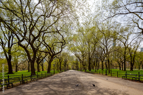 Obraz na płótnie Central Park, Manhattan, New York City in spring w salonie