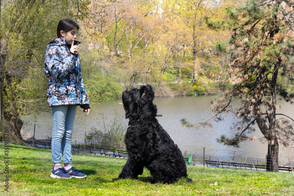 Lovely young girl training a Giant Schnauzer in Central Park